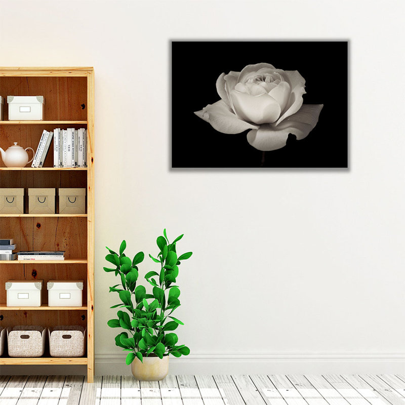 Gros plan sur une fleur de rose blanche - Impression sur toile, H 30 po x l 40 po