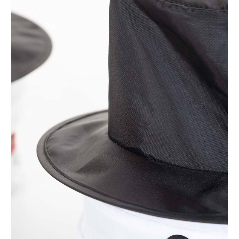 Snowman Solar Luminary & Pathway Lights