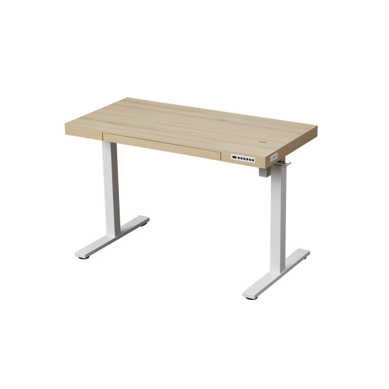 Gooitsen Height Adjustable Standing Desk, Natural/White, 48" 