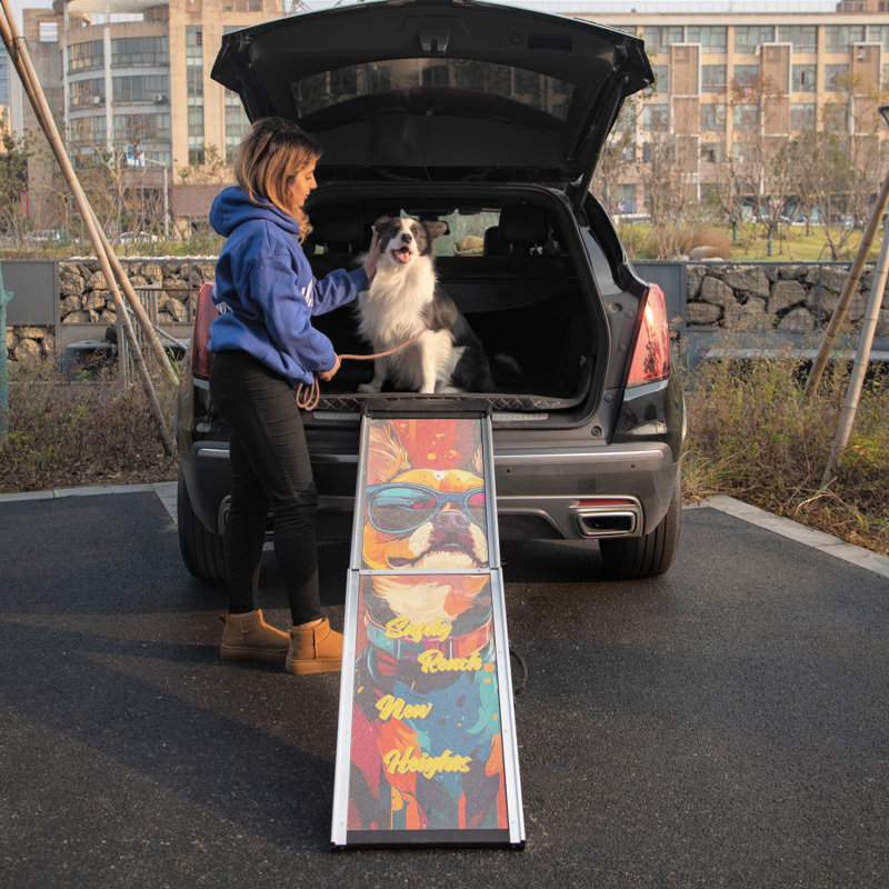 Rampe rétractable pour chien en aluminium pour voitures, camions et VUS avec surface antidérapante et conception télescopique