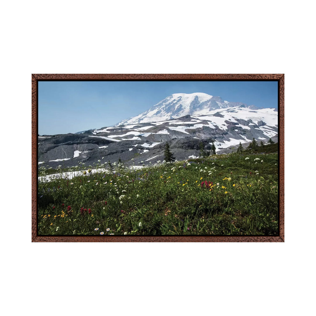 Nahaufnahme von Wildblumen, Mount Rainier National Park, Washington State, USA I