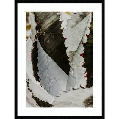 Daisey "Nova" Print by Shot by Clint