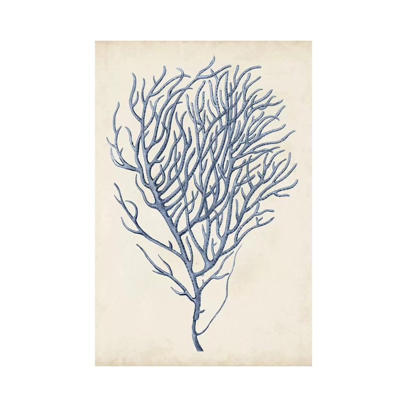 Indigo Coral VI by Vision Studio - Wrapped Canvas Painting, 20.32 cm H x 30.48 cm W