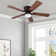 Araceliz 52'' Ceiling Fan with Light Kit