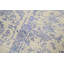 Oriental Area Rug