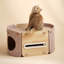 Lit pour chat en bois avec cachette fermée pour chat d'intérieur de 12 po Fairela