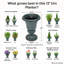 Urne pot de fleurs pot de fleur intérieur / extérieur pot de mariage pot de mariage-774851051-774851045