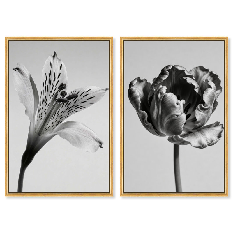 Peeking Flowers Set Set by Oliver Gal, 25" H x 17" W, Gold Floater Frame