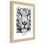 African Tigers - Single Picture Frame Print-576883949-576883947