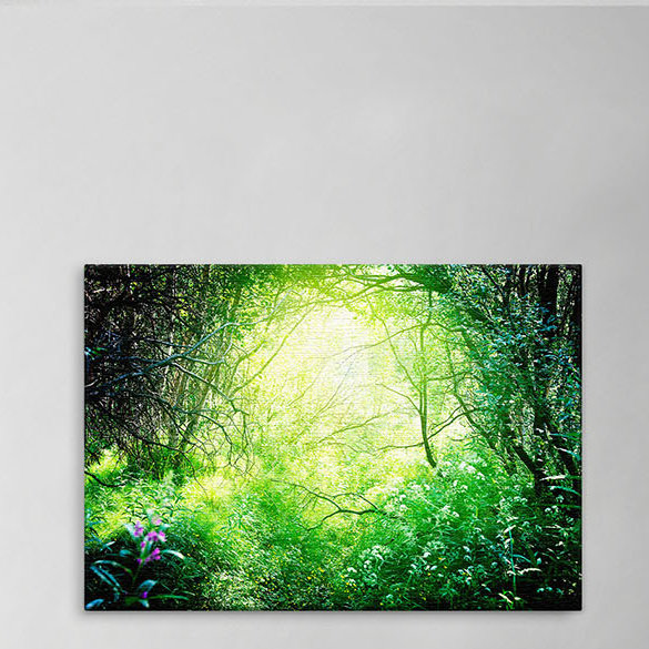 Print on Canvas, 100cm H x 150cm W x 4cm D, Luxus