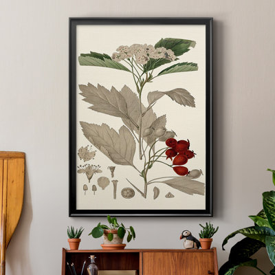 Leaves & Berries I, reproduction d'art encadrée