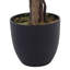 180cm Faux Banyan Tree in Freestanding