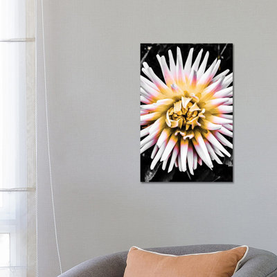 Colour Pop Yellow by Heidi Bannon - Wrapped Canvas Print