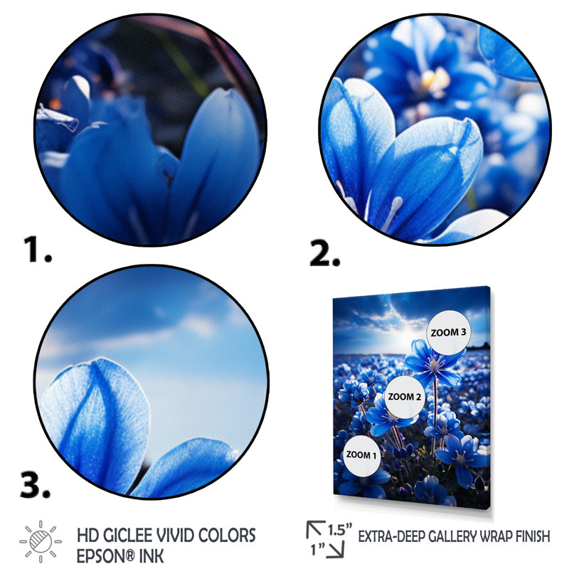 Bluebonnets Flower Blissful I - impression, Cadre photo noir, H 20 po x l 12 po x P 1 po