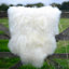 Tapis long en laine de mouton Islandais
