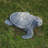 Zachary Tortoise MGO Garden Statue