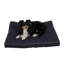 Coussin intérieur / extérieur pour chien-27271798-49685907