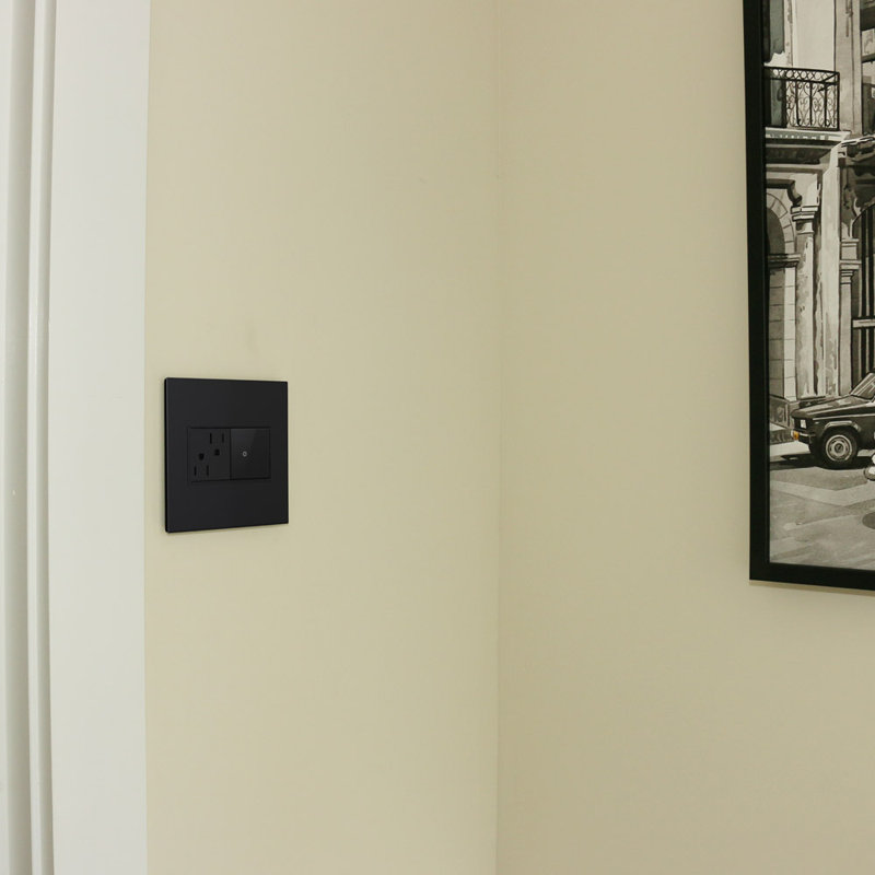 Prise de courant Adore® 15 ampères inviolable, Graphite