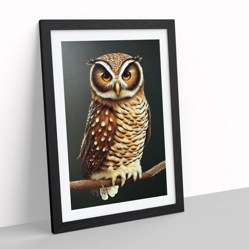 XV1022-3141X Owl Upon A Branch No.2 - Single Picture Frame Print, 64cm H x 46cm W x 2cm D, Black