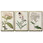 Ensemble de 3 papillons bleus antiques I encadrés sur toile-97760100-97760104