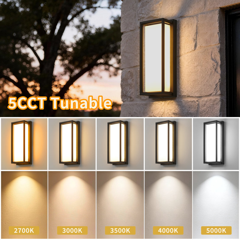 12.25’’ Dimmable Black LED Outdoor Wall Sconce