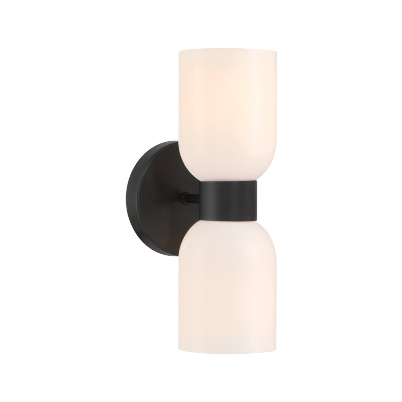 Alaisha 2-Lights Wall Light, Black