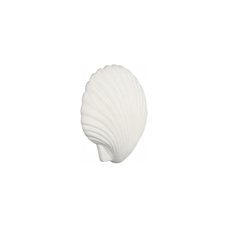 Sea Shell Wall Art, White Stone