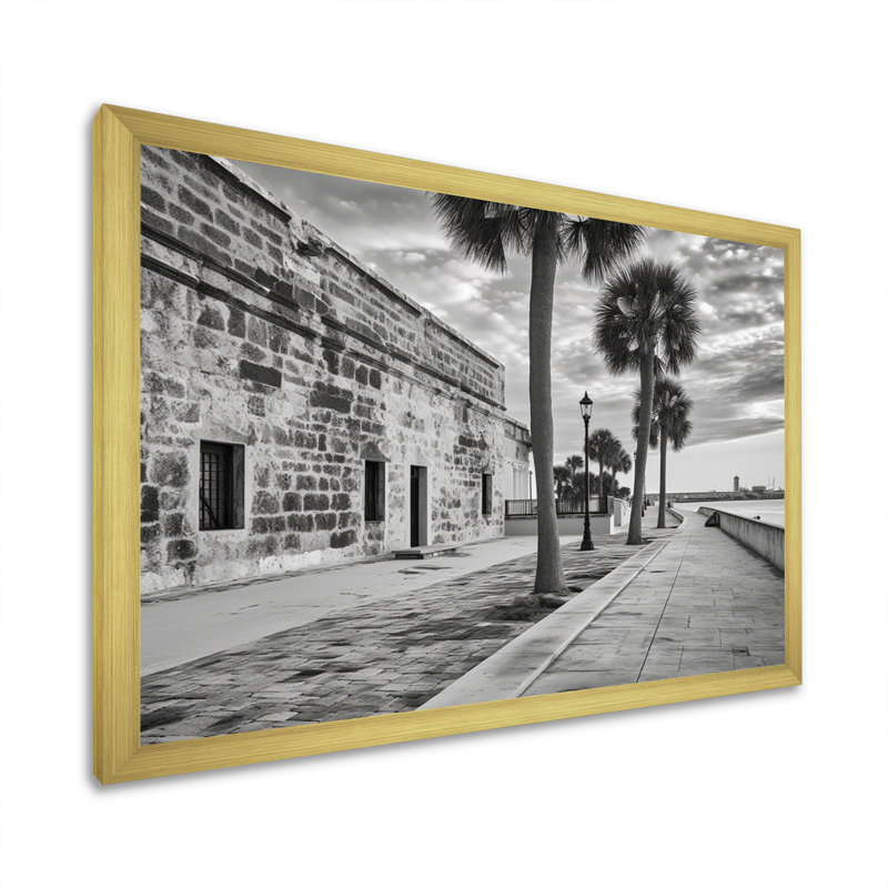 «Black and White Florida Sunshines State I», reproduction d'art sur toile, H 12 po x l 20 po x P 1 po, Encadrement doré