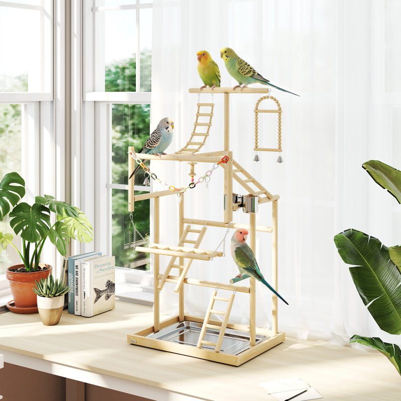 Bird Stand