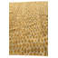 Tapis ivoire Pham