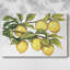 Toile tendue «Ripe for Picks II»-490551944