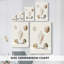 Pastel Knorr Shells - Pasta-700627074