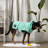 Pet Blanket-57762341-57762340