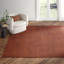 Magdaline Hand Loomed Wool Rust Area Rug-30727576
