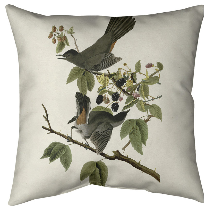 Coussin décoratif à chat oiseau, 20 po x 20 po, Blanc cassé, Sergé de coton