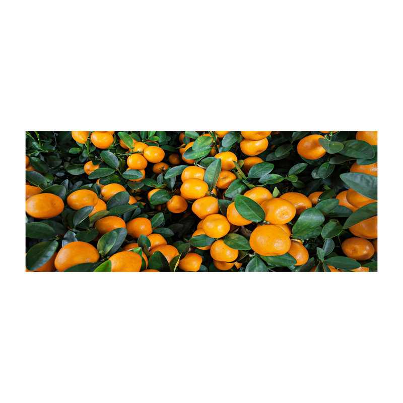 Tangerines - No Frame Print, Canvas, 50cm H x 125cm W x 2cm D