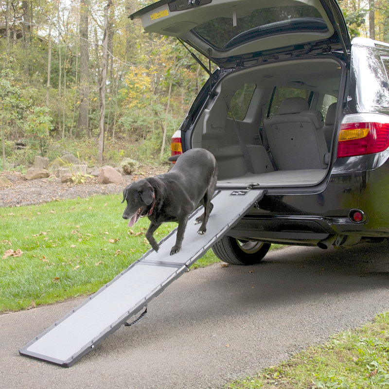 Caelan Collapsible Ramp