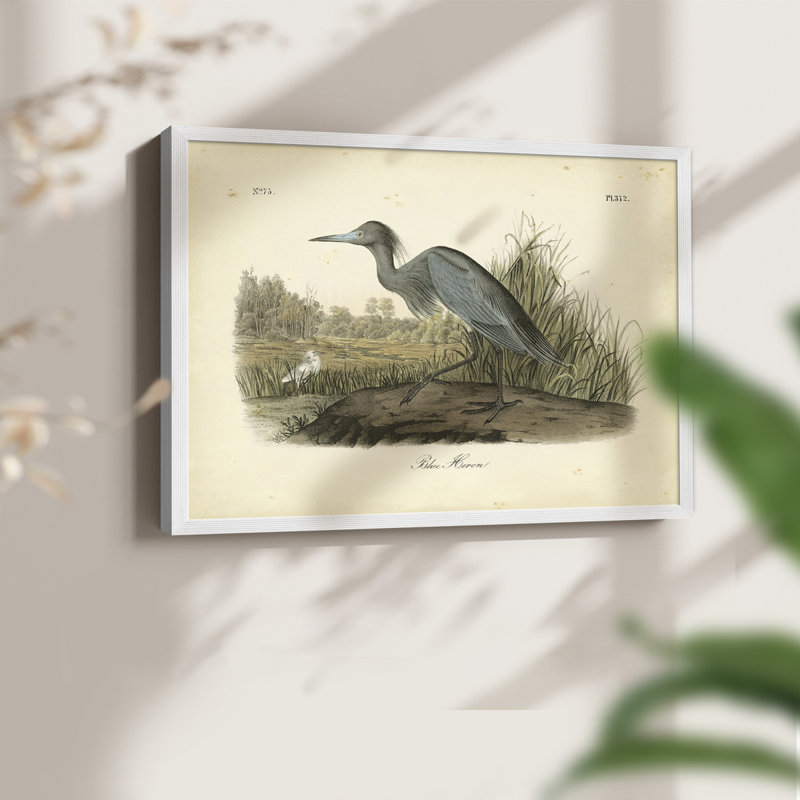 Audubons Blue Heron - reproduction encadrée - réarmable, H 8 po x l 10 po, Naturel