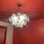 Photos des clients 1 de 1
