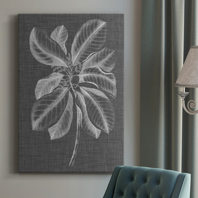 Graphic Foliage II  Wrapped Canvas Graphic Art