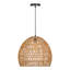 Luminaire suspendu 1 lumière Dome