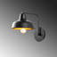 Luminaire de grange à intensité variable 1 lumière Excalibur-1979336226
