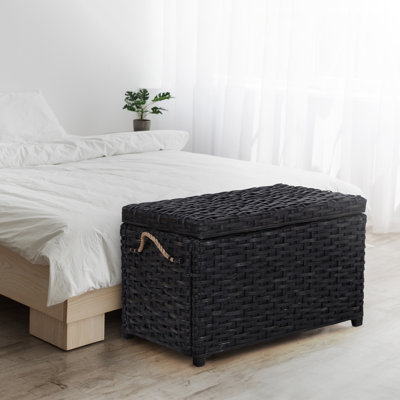 Wicker Trunk