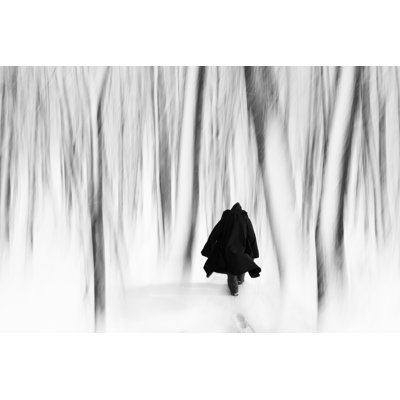 The Winter by Floriana - Wrapped Canvas Print