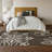 Premium Machine Washable Prisco Chocolate Rug-644975730