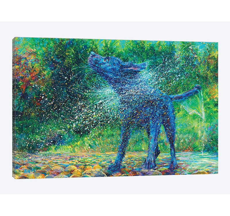 «Fishtail Creek» par Iris Scott - impression sur toile tendue, H 26 po x l 40 po x P 1,5 po, Toile tendue, Pas de tapis