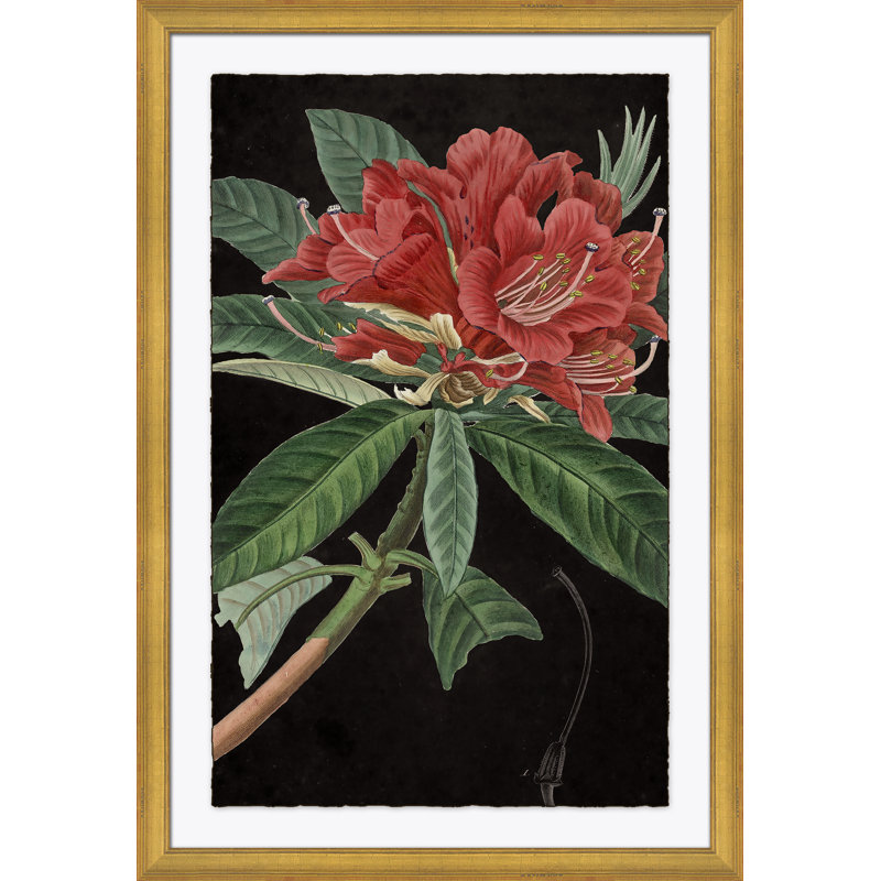 Red Flowers Large Giclee Print