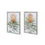 Protea Watercolor Prints in Wood Frames