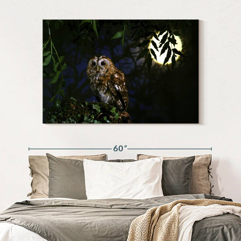 Hibou fauve Brampt, H 34 po x l 51 po