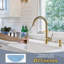 Robinet de cuisine extractible avec distributeur de savon-95035350
